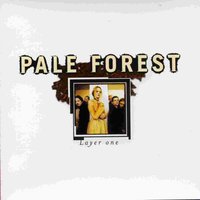 Pictureframe - Pale Forest