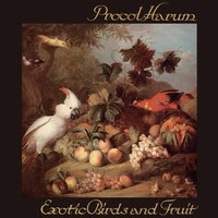 Fresh Fruit - Procol Harum