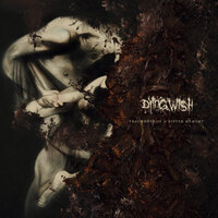 Severing the Senses - Dying Wish