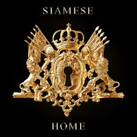 Home - Siamese, Drew York