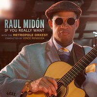 If You Really Want - Raul Midon, Metropole Orkest