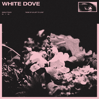 white dove - Koda