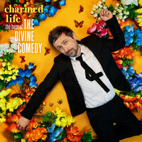 The Best Mistakes - The Divine Comedy