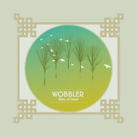 In Orbit - Wobbler
