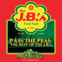 (It's Not The Express) It's The J.B.'s Monaurail - The J.B.'s