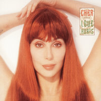 A World Without Heroes - Cher