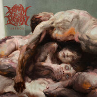 Comfort of Complicity - Venom Prison