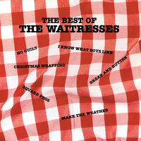 Bruiseology - The Waitresses