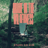 Yes He Does - Stars Go Dim