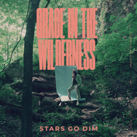 This Is Love - Stars Go Dim