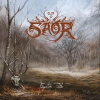 Bròn - Saor
