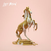 Don't Look Away - The Last Bison
