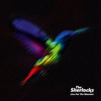 Motions - The Sherlocks