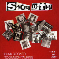 Punk Rocker - Special Duties