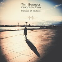 Tim Bowness