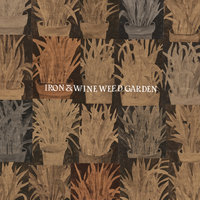 Milkweed - Iron & Wine