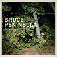 Or So I Dreamed - Bruce Peninsula