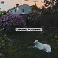 Shaking Your Mind - Bearings