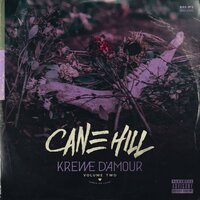 Bleed When You Ask Me - Cane Hill