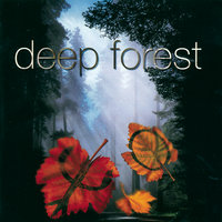 Freedom Cry - Deep Forest