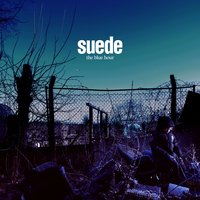 Tides - Suede