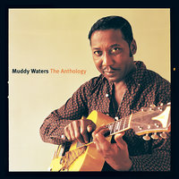 My Home Is In The Delta - Muddy Waters