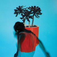 Ellie Alice - Local Natives