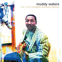 Lonesome Day - Muddy Waters, Sunnyland Slim