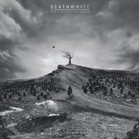 The Grace of the Dark - Deathwhite