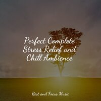 Keeping It Calm - Baby Relax Music Collection, Namaste Healing Yoga, Happy Baby Lullaby Collection