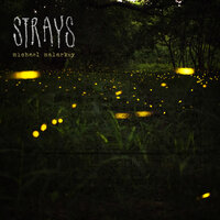Strays - Michael Malarkey