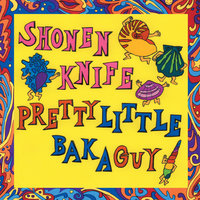 Summertime Boogie - Shonen Knife