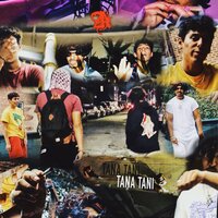 Tana Tani - Mr. P