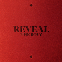 REVEAL - THE BOYZ