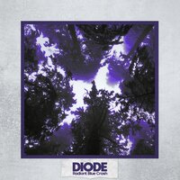 Asleep at the Wheel - Diöde