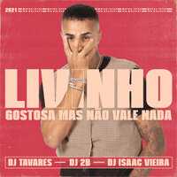 Gostosa Mas Não Vale Nada - MC Livinho, DJ 2b, Dj Tavares