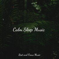 Keeping It Calm - Baby Sleep Music, Meditative Music Guru, Yoga