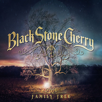 New Kinda Feelin' - Black Stone Cherry