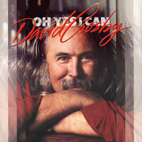 My Country Tis Of Thee - David Crosby