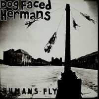 The Rain It Raineth - Dog Faced Hermans
