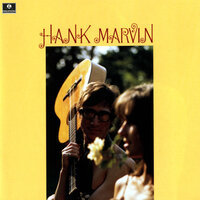Would You Believe It - Hank Marvin