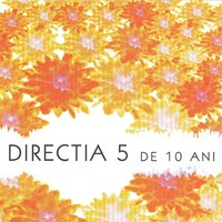 Spune Ce Vrei - Directia 5