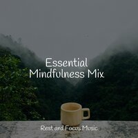 Spa Music - Yoga Namaste, Ambient Forest, Massage