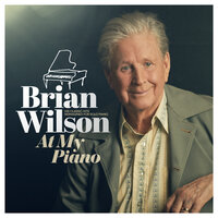I Just Wasn’t Made For These Times - Brian Wilson
