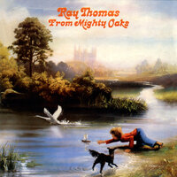 I Wish We Could Fly - Ray Thomas