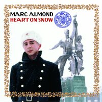 White flowers of acacia - Marc Almond