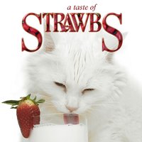 Barcarole for the Death of Venice - Strawbs