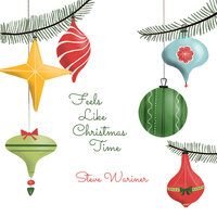 Feels Like Christmas Time - Steve Wariner