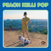 Princess Castle 1987 - Peach Kelli Pop