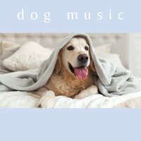Sleeping Dog Music - Dog Music